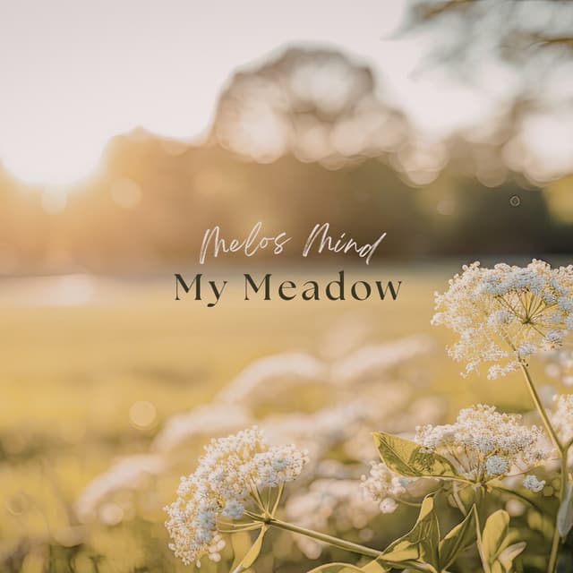 My Meadow