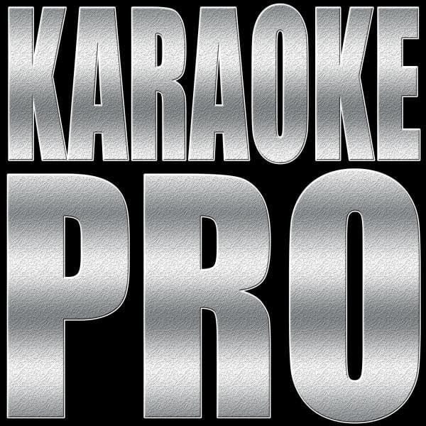 Show Me Love (Originally Performed by Sam Feldt feat. Kimberly Anne) - Instrumental